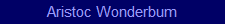 Aristoc Wonderbum