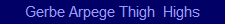 Gerbe Arpege Thigh  Highs